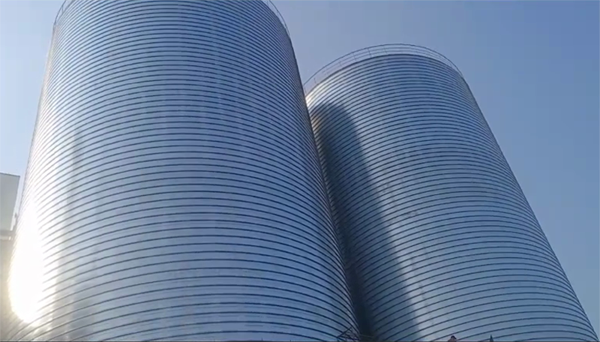 大名2座混凝土高架卷板仓